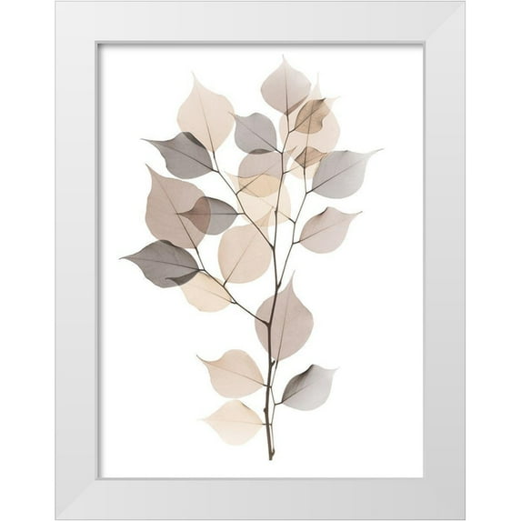 Koetsier, Albert 19x24 White Modern Wood Framed Museum Art Print Titled - Sandy Myrtle Tree