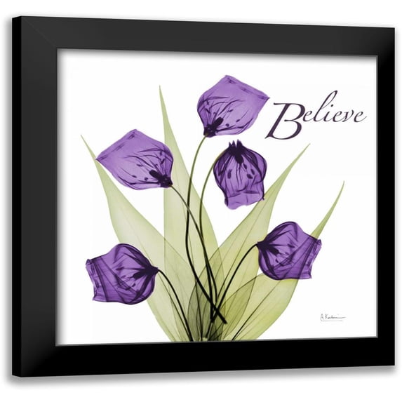 Koetsier, Albert 20x20 Black Modern Framed Museum Art Print Titled - Believe