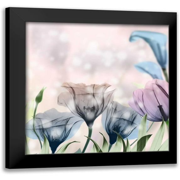Koetsier, Albert 20x20 Black Modern Framed Museum Art Print Titled - Garden Of Wonders 3