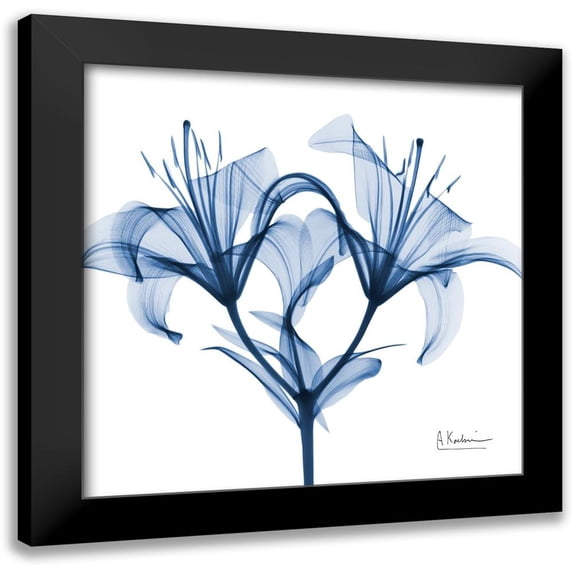 Koetsier, Albert 20x20 Black Modern Framed Museum Art Print Titled - Indigo Lily