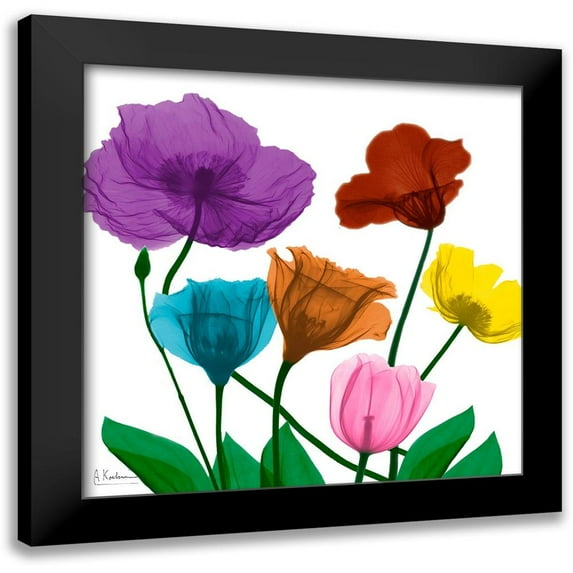 Koetsier, Albert 20x20 Black Modern Framed Museum Art Print Titled - Jewel Floral Cluster 2