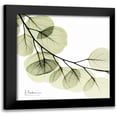 thumbnail image 1 of Koetsier, Albert 20x20 Black Modern Framed Museum Art Print Titled - Mint Eucalyptus 2, 1 of 5