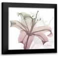 thumbnail image 1 of Koetsier, Albert 20x20 Black Modern Framed Museum Art Print Titled - Neapolitan Lily, 1 of 5
