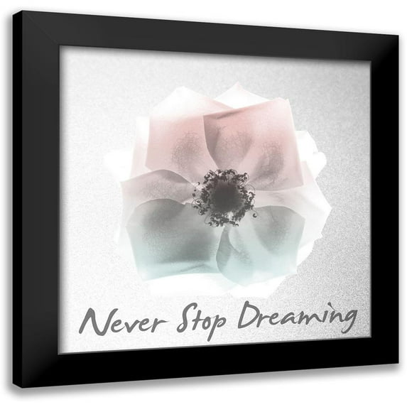 Koetsier, Albert 20x20 Black Modern Framed Museum Art Print Titled - Never Stop Dreaming 1