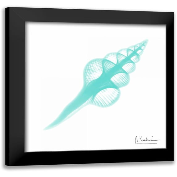 Koetsier, Albert 20x20 Black Modern Framed Museum Art Print Titled - Seafoam Fusinus Colus
