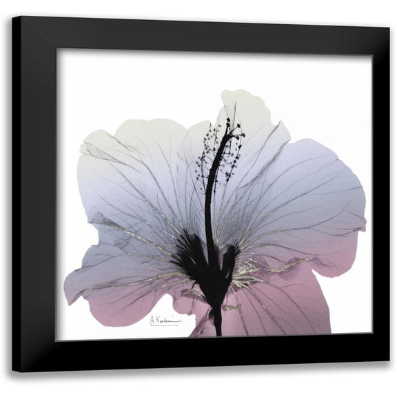 Koetsier, Albert 20x20 Black Modern Framed Museum Art Print Titled - Silver Splash 1