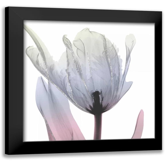 Koetsier, Albert 20x20 Black Modern Framed Museum Art Print Titled - Silver Splash 2