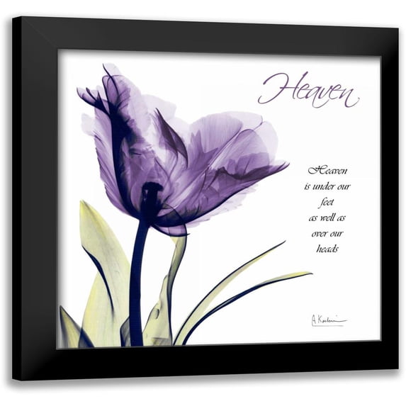 Koetsier, Albert 20x20 Black Modern Framed Museum Art Print Titled - Tulip Heaven