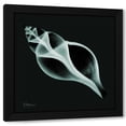 thumbnail image 1 of Albert Koetsier 20x20 Black Modern Wood Framed Wall Art Titled - Tulip Shell_sepia, 1 of 6