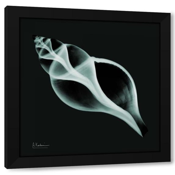 Albert Koetsier 20x20 Black Modern Wood Framed Wall Art Titled - Tulip Shell_sepia