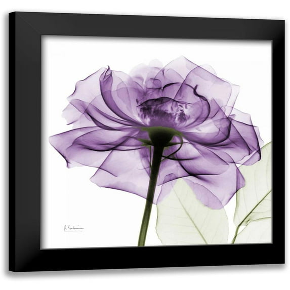 Koetsier, Albert 20x20 Black Modern Framed Museum Art Print Titled - purpleRose