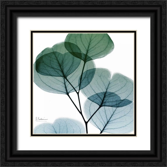 Koetsier, Albert 20x20 Black Ornate Wood Framed with Double Matting Museum Art Print Titled - Dull Eucalyptus Mate