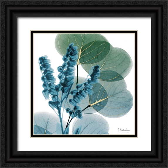 Koetsier, Albert 20x20 Black Ornate Wood Framed with Double Matting Museum Art Print Titled - Golden Lilly Of Eucalyptus