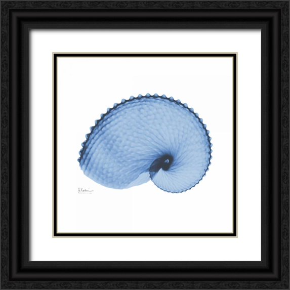 Koetsier, Albert 20x20 Black Ornate Wood Framed with Double Matting Museum Art Print Titled - Ultramarine Argonaut 2