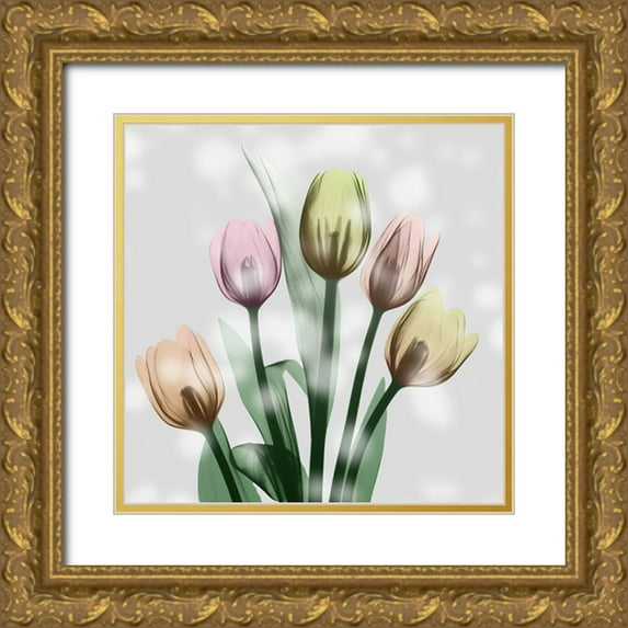 Koetsier, Albert 20x20 Gold Ornate Wood Framed with Double Matting Museum Art Print Titled - Awakening Tulips