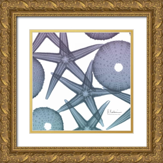 Koetsier, Albert 20x20 Gold Ornate Wood Framed with Double Matting Museum Art Print Titled - Lavender Dipped Starfish 1