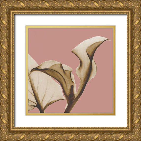 Koetsier, Albert 20x20 Gold Ornate Wood Framed with Double Matting Museum Art Print Titled - Luster Callaqua