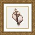 thumbnail image 1 of Koetsier, Albert 20x20 Gold Ornate Wood Framed with Double Matting Museum Art Print Titled - Sandy Sea Shells 1, 1 of 4