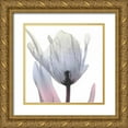 thumbnail image 1 of Koetsier, Albert 20x20 Gold Ornate Wood Framed with Double Matting Museum Art Print Titled - Silver Splash 2, 1 of 4