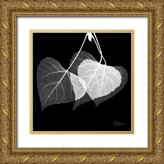Koetsier, Albert 20x20 Gold Ornate Wood Framed with Double Matting Museum Art Print Titled - Three Leaves Three on Black