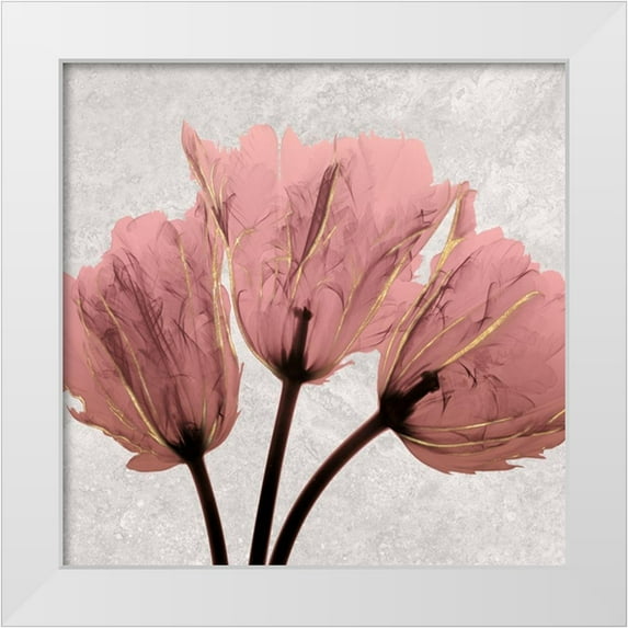 Koetsier, Albert 20x20 White Modern Wood Framed Museum Art Print Titled - Alizarin Marble Splendor 2