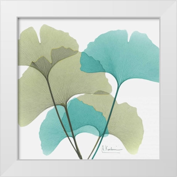 Koetsier, Albert 20x20 White Modern Wood Framed Museum Art Print Titled - Gingko 1