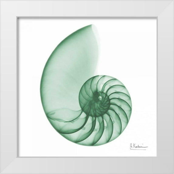 Koetsier, Albert 20x20 White Modern Wood Framed Museum Art Print Titled - Jade Water Snail 2