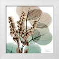 thumbnail image 1 of Koetsier, Albert 20x20 White Modern Wood Framed Museum Art Print Titled - Oasis Eucalyptus 1, 1 of 4