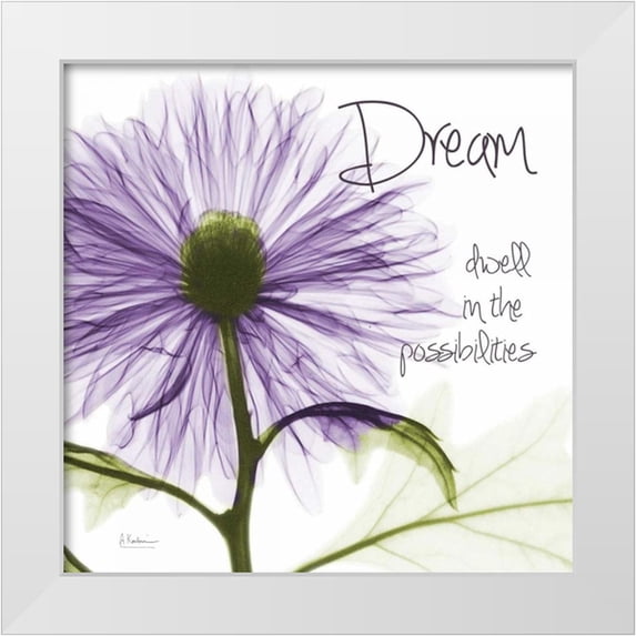 Koetsier, Albert 20x20 White Modern Wood Framed Museum Art Print Titled - Purple Chrysanthemum Dream