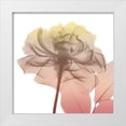 thumbnail image 1 of Koetsier, Albert 20x20 White Modern Wood Framed Museum Art Print Titled - Rose Dawn 1, 1 of 4