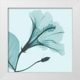 thumbnail image 1 of Koetsier, Albert 20x20 White Modern Wood Framed Museum Art Print Titled - Saphire Love Hibiscus, 1 of 4