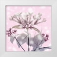 thumbnail image 1 of Koetsier, Albert 20x20 White Modern Wood Framed Museum Art Print Titled - Sparkling Bouvardia, 1 of 4