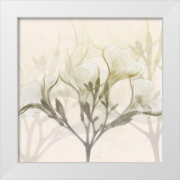 Koetsier, Albert 20x20 White Modern Wood Framed Museum Art Print Titled - Sunkissed Oleander