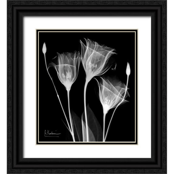 Koetsier, Albert 20x22 Black Ornate Wood Framed with Double Matting Museum Art Print Titled - Gentle Gentian