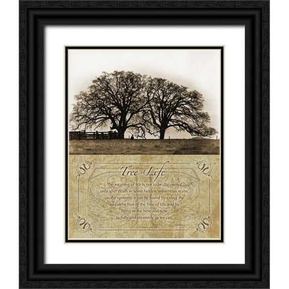 Koetsier, Albert 20x24 Black Ornate Wood Framed with Double Matting Museum Art Print Titled - Costa Country