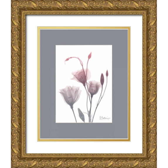 Koetsier, Albert 20x24 Gold Ornate Wood Framed with Double Matting Museum Art Print Titled - GentianB9 Pink Matte