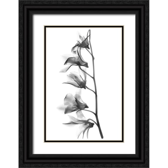 Koetsier, Albert 23x32 Black Ornate Wood Framed with Double Matting Museum Art Print Titled - Orchid