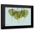 thumbnail image 1 of Koetsier, Albert 24x19 Black Modern Framed Museum Art Print Titled - Bodhi Tree Quartet, 1 of 5