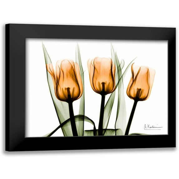 Koetsier, Albert 24x19 Black Modern Framed Museum Art Print Titled - Tulips Orange