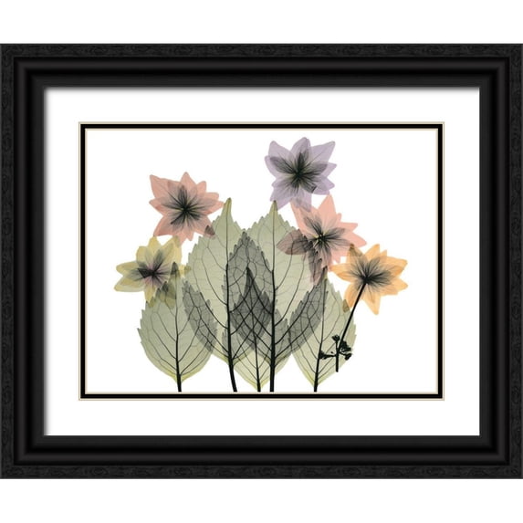 Koetsier, Albert 24x19 Black Ornate Wood Framed with Double Matting Museum Art Print Titled - Hiding Lovelies