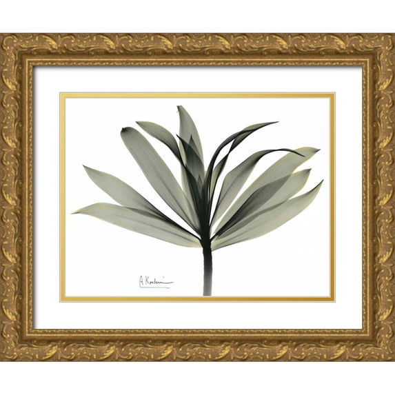 Koetsier, Albert 24x19 Gold Ornate Wood Framed with Double Matting Museum Art Print Titled - Sons of India Dracaena