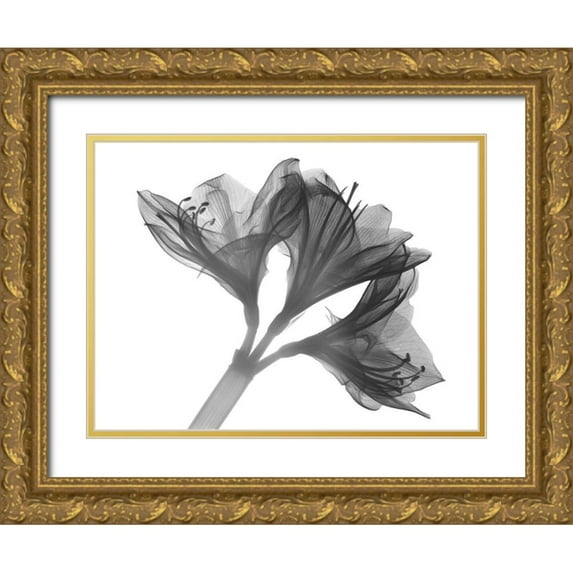 Koetsier, Albert 24x19 Gold Ornate Wood Framed with Double Matting Museum Art Print Titled - Twins