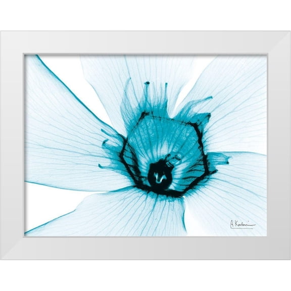 Koetsier, Albert 24x19 White Modern Wood Framed Museum Art Print Titled - Aqua Oleander