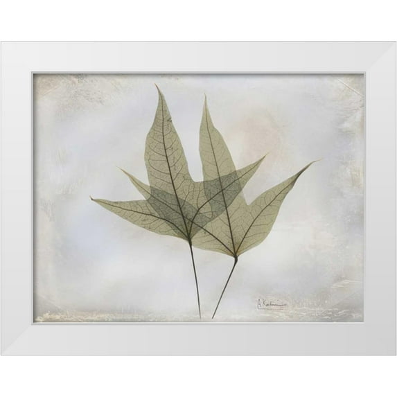Koetsier, Albert 24x19 White Modern Wood Framed Museum Art Print Titled - Trident Maple E217