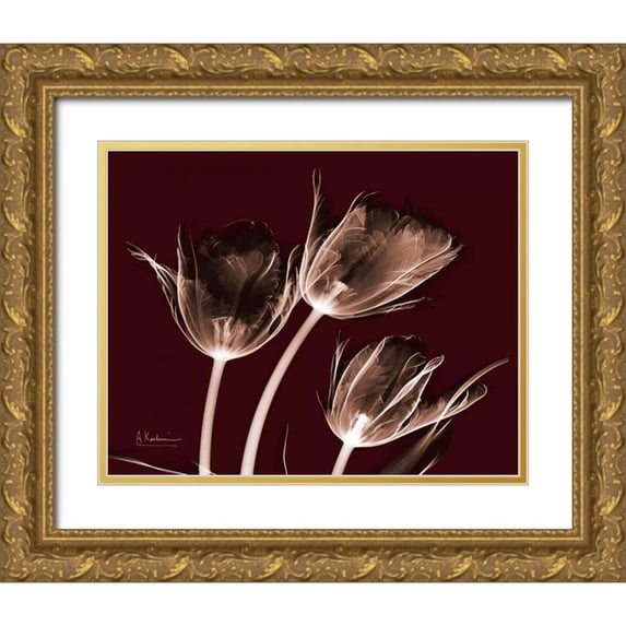 Koetsier, Albert 24x20 Gold Ornate Wood Framed with Double Matting Museum Art Print Titled - Crimson Tulips