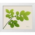 thumbnail image 1 of Koetsier, Albert 24x20 White Modern Wood Framed Museum Art Print Titled - Natural Greenery 1, 1 of 4