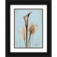 thumbnail image 1 of Koetsier, Albert 24x32 Black Ornate Wood Framed with Double Matting Museum Art Print Titled - Calla Lily Brown on Blue 2, 1 of 4