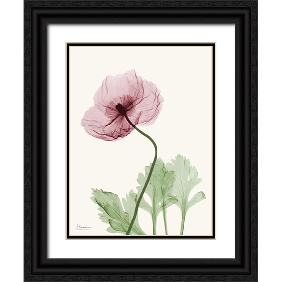 Koetsier, Albert 25x32 Black Ornate Wood Framed with Double Matting Museum Art Print Titled - Dazzling Poppy 2