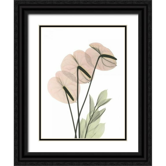 Koetsier, Albert 25x32 Black Ornate Wood Framed with Double Matting Museum Art Print Titled - Flamingo in Color