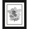 thumbnail image 1 of Koetsier, Albert 25x32 Black Ornate Wood Framed with Double Matting Museum Art Print Titled - Leafy Bunch, 1 of 4